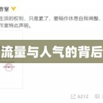流量与人气的背后