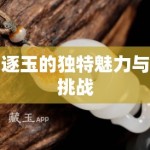 逐玉的独特魅力与挑战