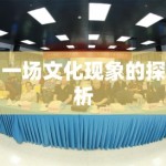 一场文化现象的探析