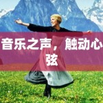 音乐之声，触动心弦