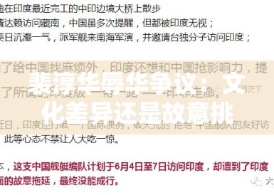 裴淳华辱华争议：文化差异还是故意挑衅中国市场？