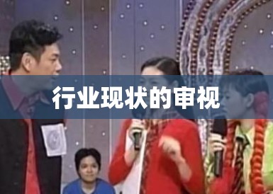 行业现状的审视