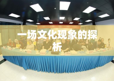 一场文化现象的探析