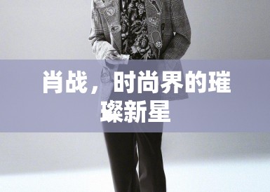 肖战，时尚界的璀璨新星