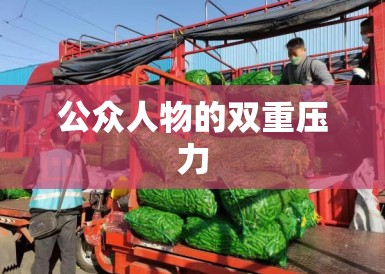 公众人物的双重压力