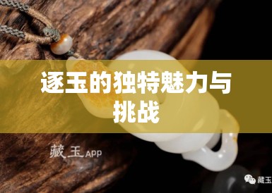 逐玉的独特魅力与挑战
